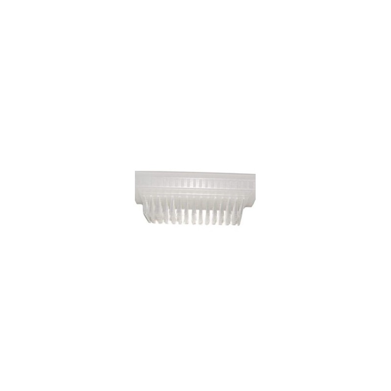 Cepillo para Lavado de Uñas